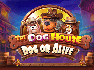 The Dog House - Dog or Alive thumbnail